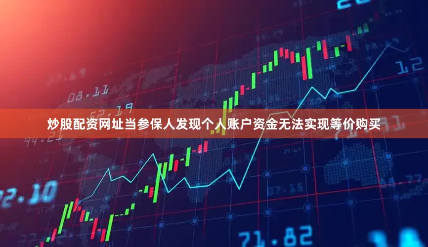 炒股配资网址当参保人发现个人账户资金无法实现等价购买