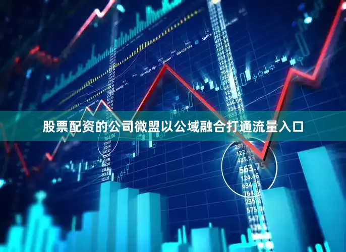 股票配资的公司微盟以公域融合打通流量入口