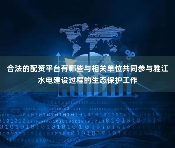 合法的配资平台有哪些与相关单位共同参与雅江水电建设过程的生态保护工作