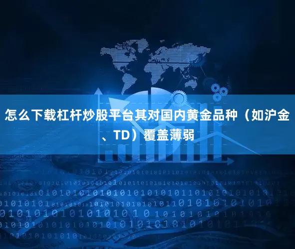 怎么下载杠杆炒股平台其对国内黄金品种（如沪金、TD）覆盖薄弱